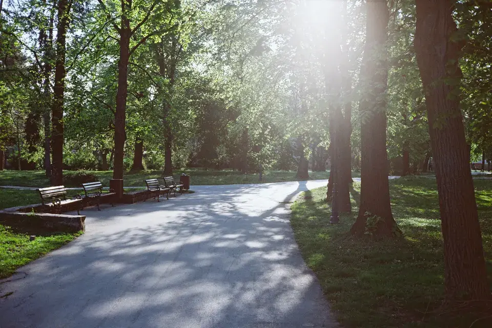 Serving the Northwood, NH Community — Northwood, NH